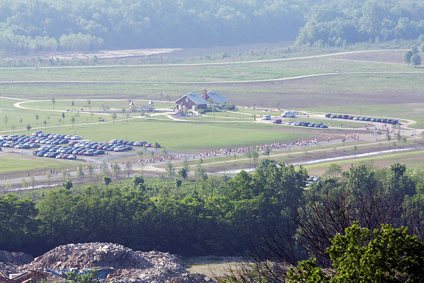 Whole Field